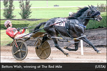 "He’s A Horse Of A Lifetime"