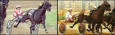 Three To Living Horse Hall Of Fame