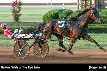 Curtain Call For Dan Patch Trio
