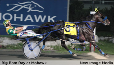 Big Bam Ray To Gold Cup & Saucer?