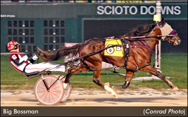 From Quirky Colt To 'Boss' Of OH-Breds?
