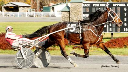 'Big Box' Tackles Saratoga Trotters
