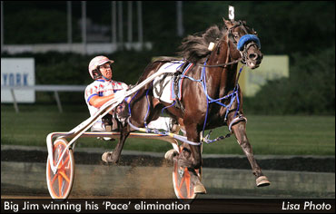 Big Jim Favoured In Meadowlands Pace