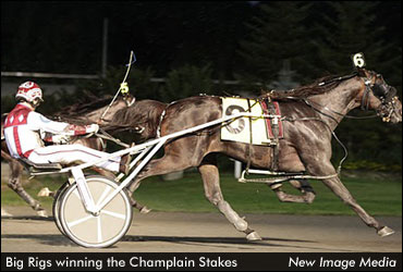 Stablemates Rebound From Hambo Hook-Up