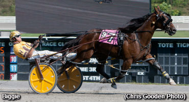 Biggie Sets Stakes Record