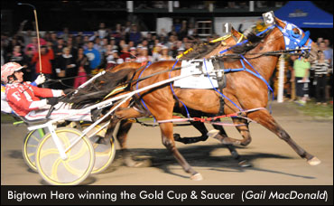 Bigtown Hero Equals Record In Gold Cup & Saucer