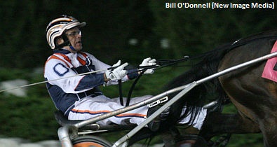 Heyden Stat Pack: Bill O'Donnell