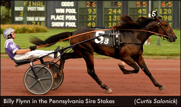 Billy Flynn Perfect In Sire Stakes