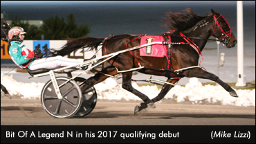 Levy Champion Back In Action