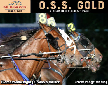 Favourites Flop In Gold Divisions