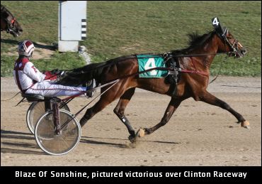 Retired S-Bred Now A Grand Champion