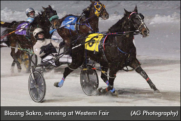 Horse Wins After Three-Year Layoff