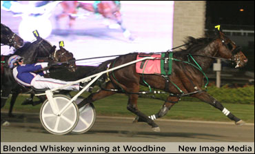 Blended Whiskey Wows In 'Western' Elims