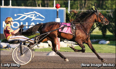 Fillies Flaunt It In Grassroots 