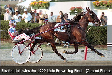 The Blissfull Feeling Of Success