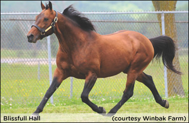 Canada's First 2YO Winner