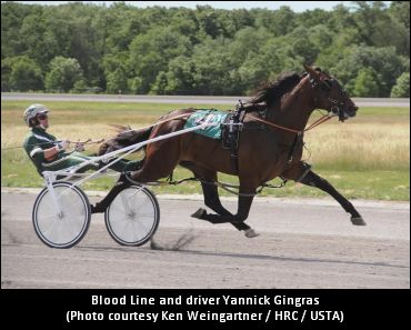 Freshman Impresses Takter