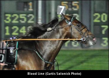 Takter Discusses Blood Line