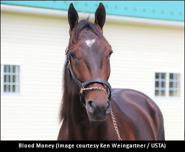 Johansson Discusses Blood Money