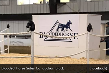 2019 Winter Speed Sale Underway