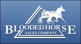 Huge Blooded Horse Sale Scheduled
