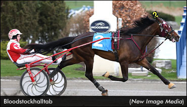 Favourites Win Tie Silk Opener