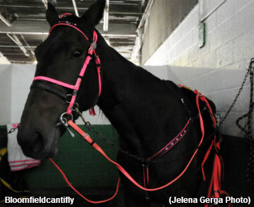 Yonkers To Host 'Racing For A Cure'