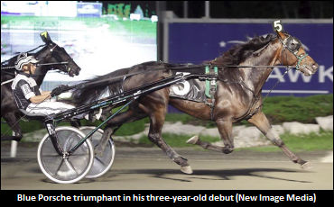 Blue Porsche Solid In Soph Debut