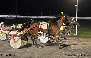 Blue Boy In Open; Seven For Bartlett