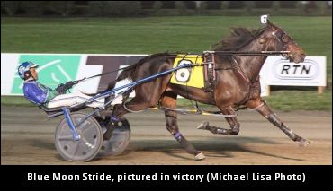 Harder Marvels At Older Mare Class