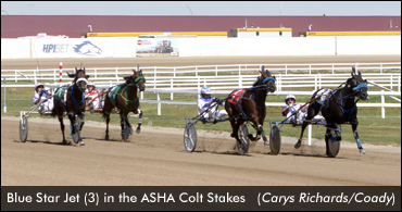 Sophomores Star In ASHA Stakes