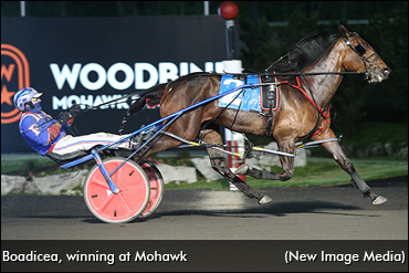 Queen Boadicea Ready For Battle