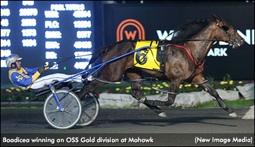 Saturday Speed Show At Mohawk