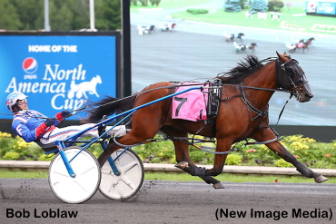Rookie Pacing Colts Put On A Show Rookie Pacing Colts Put On A Show