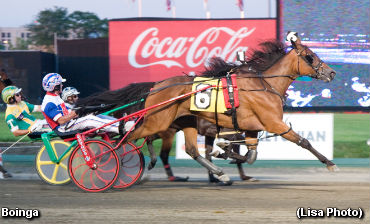 Boinga's Connections Confident