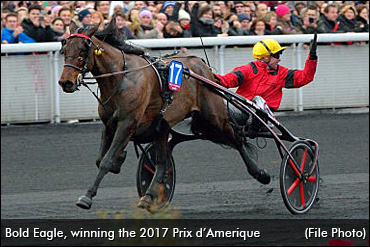 Bold Eagle To Breeders Crown?