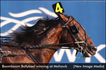 Boomboom Ballykeel Wins Preferred