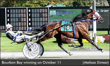 Bourbon Bay Sets World Record