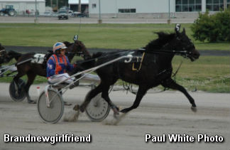 Brandnewgirlfriend Sets Buffalo Record