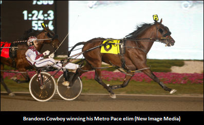 Meridian Shuffling Stallions