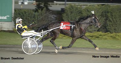 High Five For Brawn Seelster