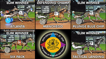 Showdowns In Sophomore Trots