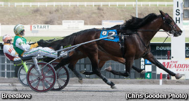 Breedlove Repeats In Meadows Series