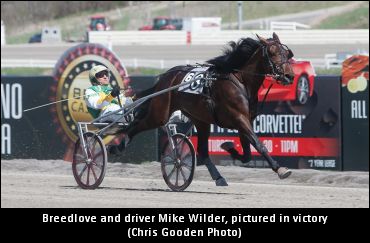 Owners Would ‘Love’ A Hambo Shot