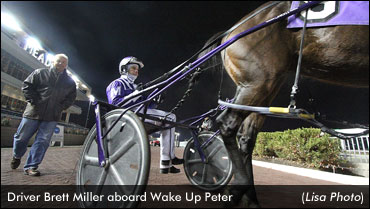 Wake Up Peter Sizzles In Free For All