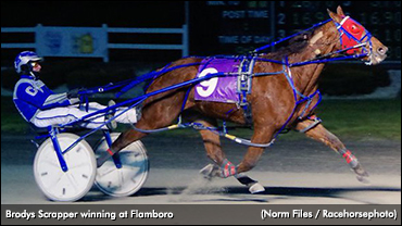 Brodys Scrapper Grabs Flamboro Preferred