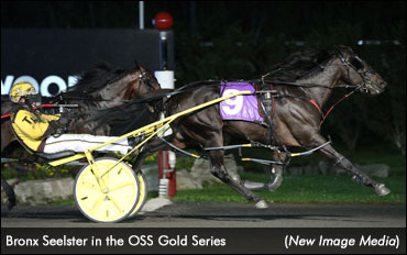 Capers 3 Stable On Ride Of A Lifetime Capers 3 Stable On Ride Of A Lifetime