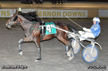 Vernon Late Closer To Brookroad Knight