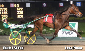 Buck I St Pat Going To Elitlopp