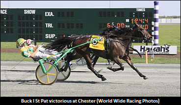 Connections Appeal Crown Eligibility